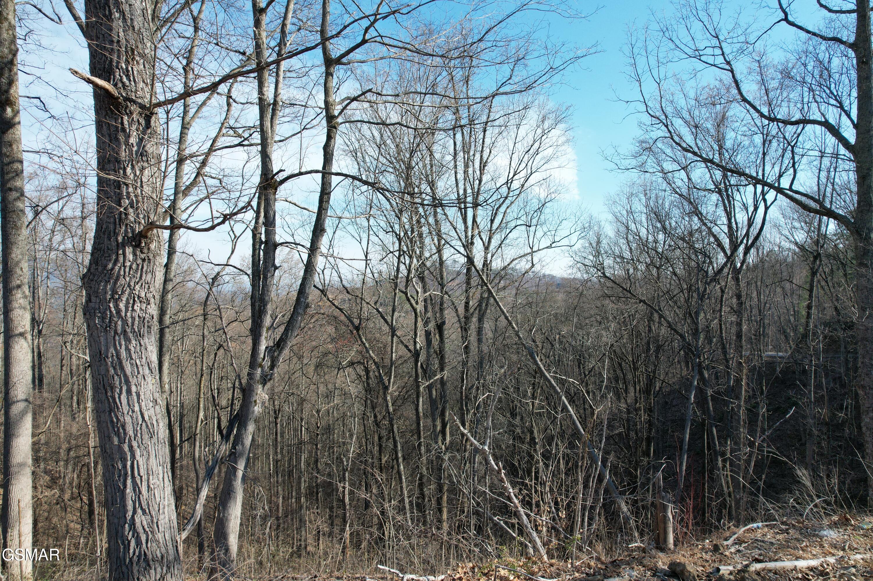 Lot 2b Spurling Way Sevierville TN 37862
