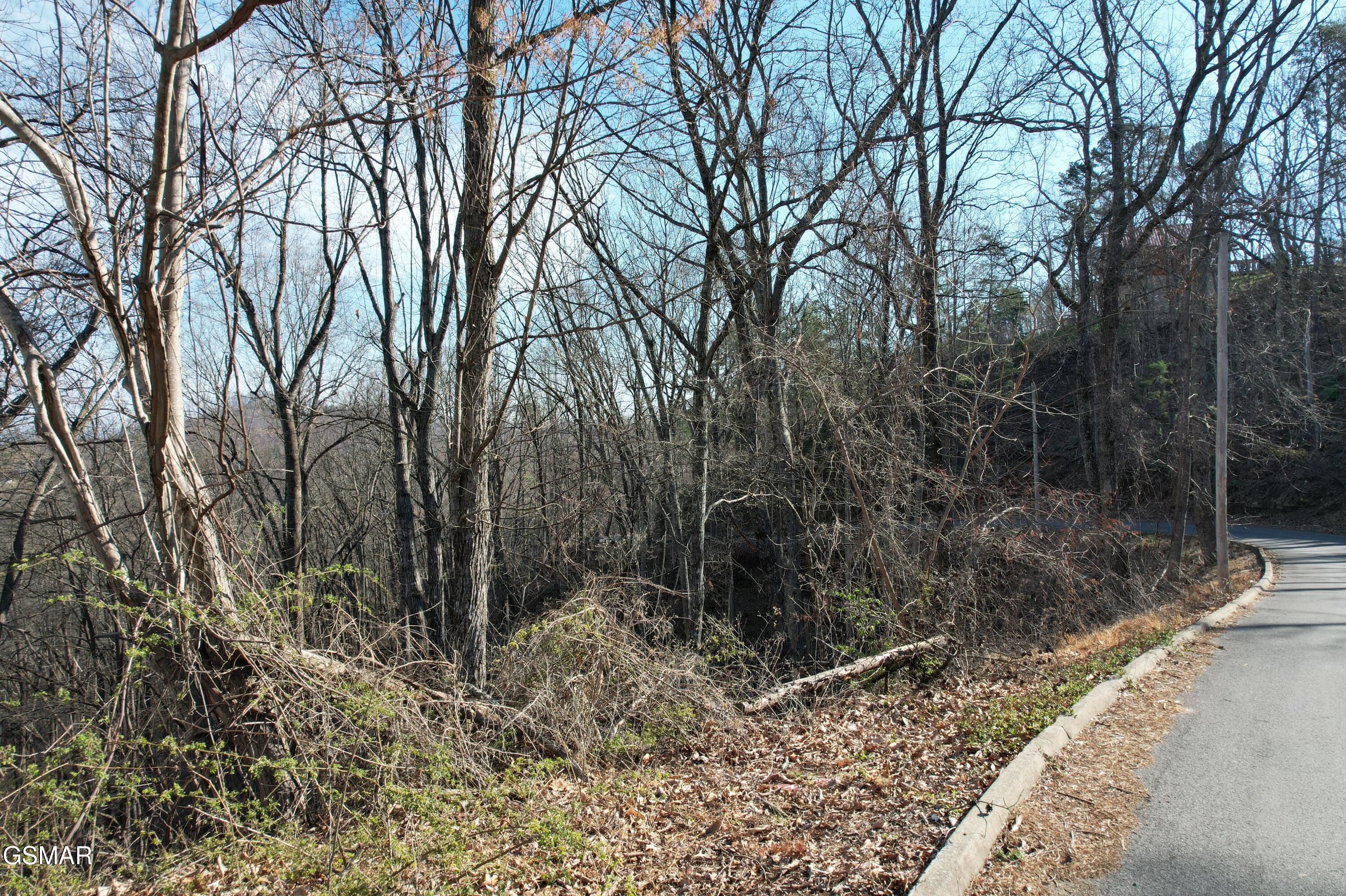 Lot 2b Spurling Way Sevierville TN 37862