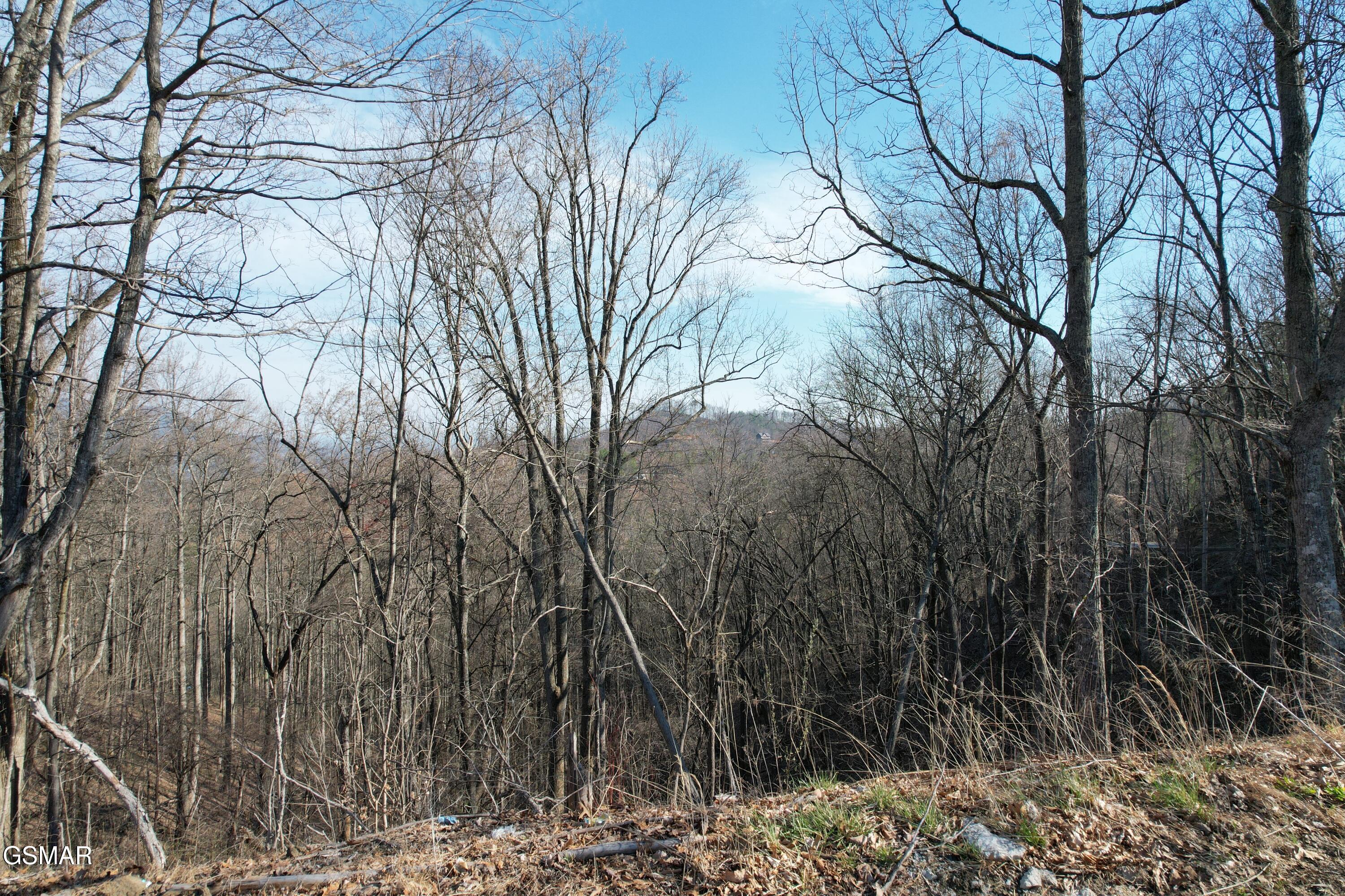Lot 2b Spurling Way Sevierville TN 37862