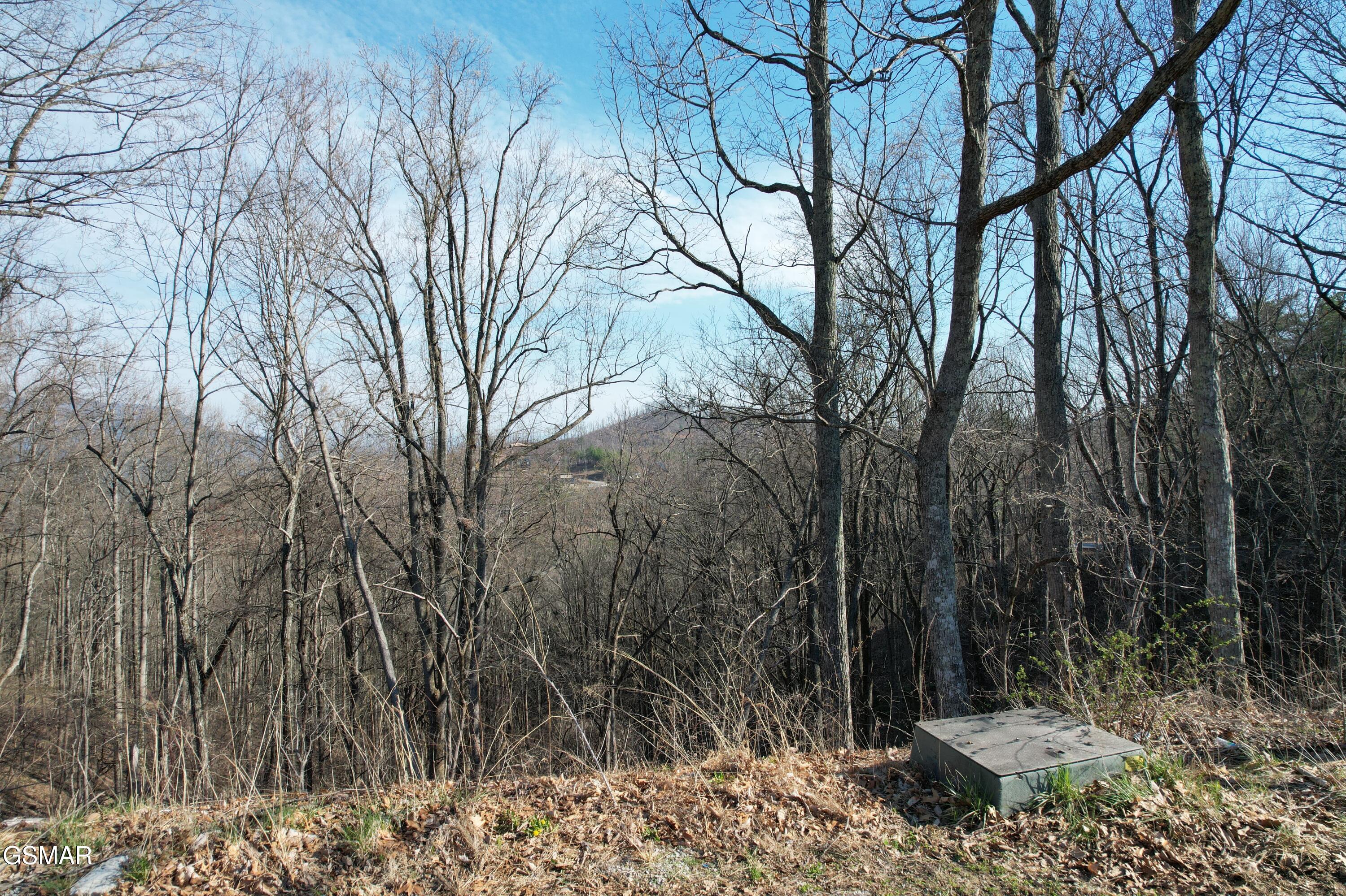 Lot 2b Spurling Way Sevierville TN 37862