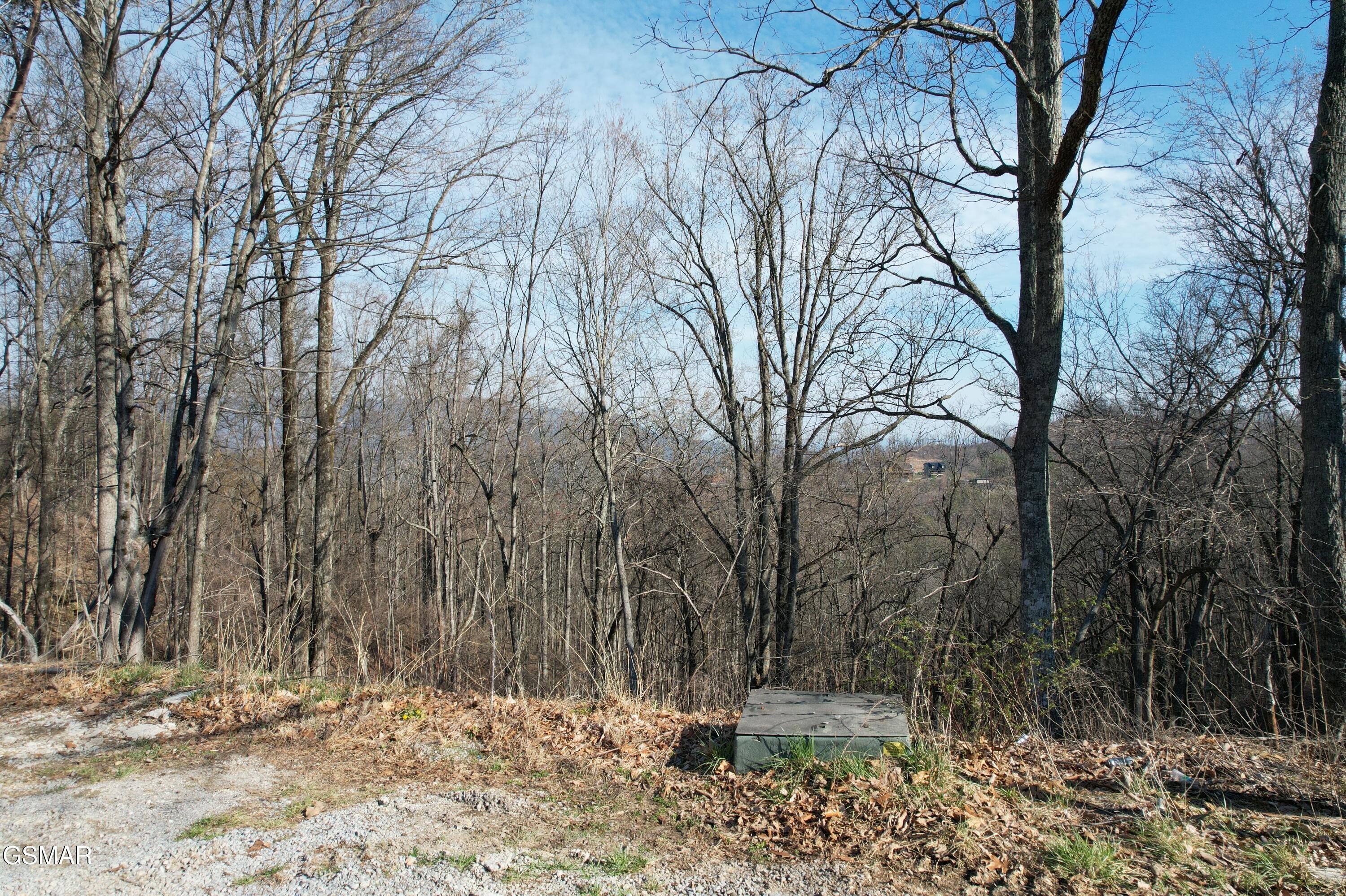 Lot 2b Spurling Way Sevierville TN 37862