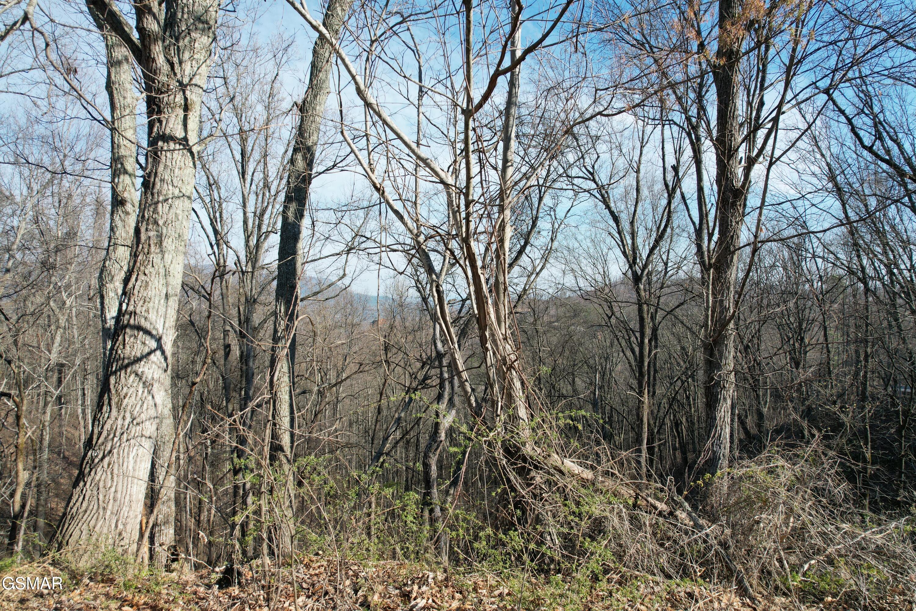 Lot 2b Spurling Way Sevierville TN 37862