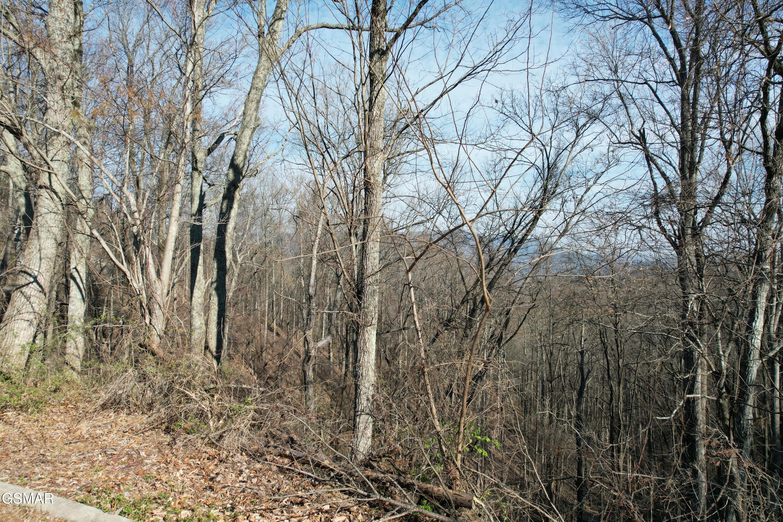 Lot 2b Spurling Way Sevierville TN 37862