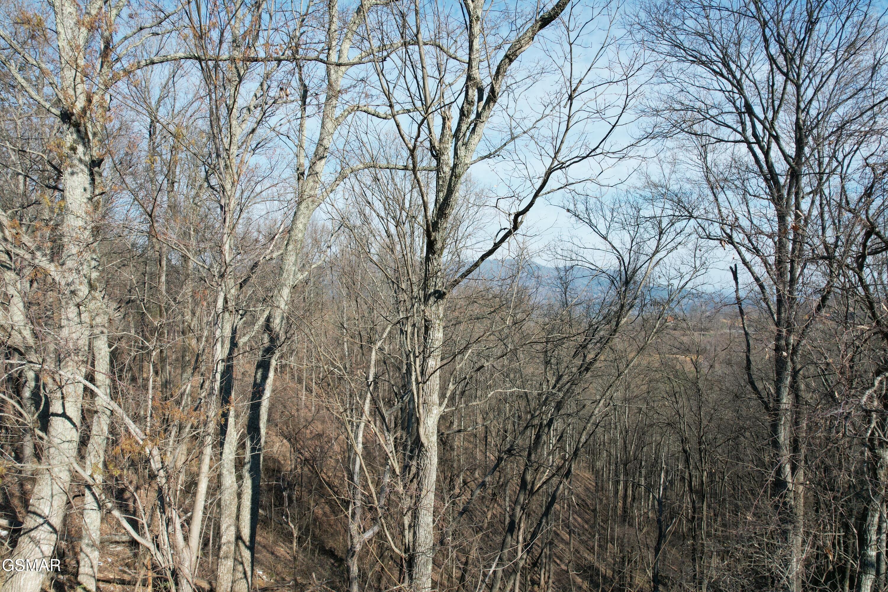 Lot 2b Spurling Way Sevierville TN 37862