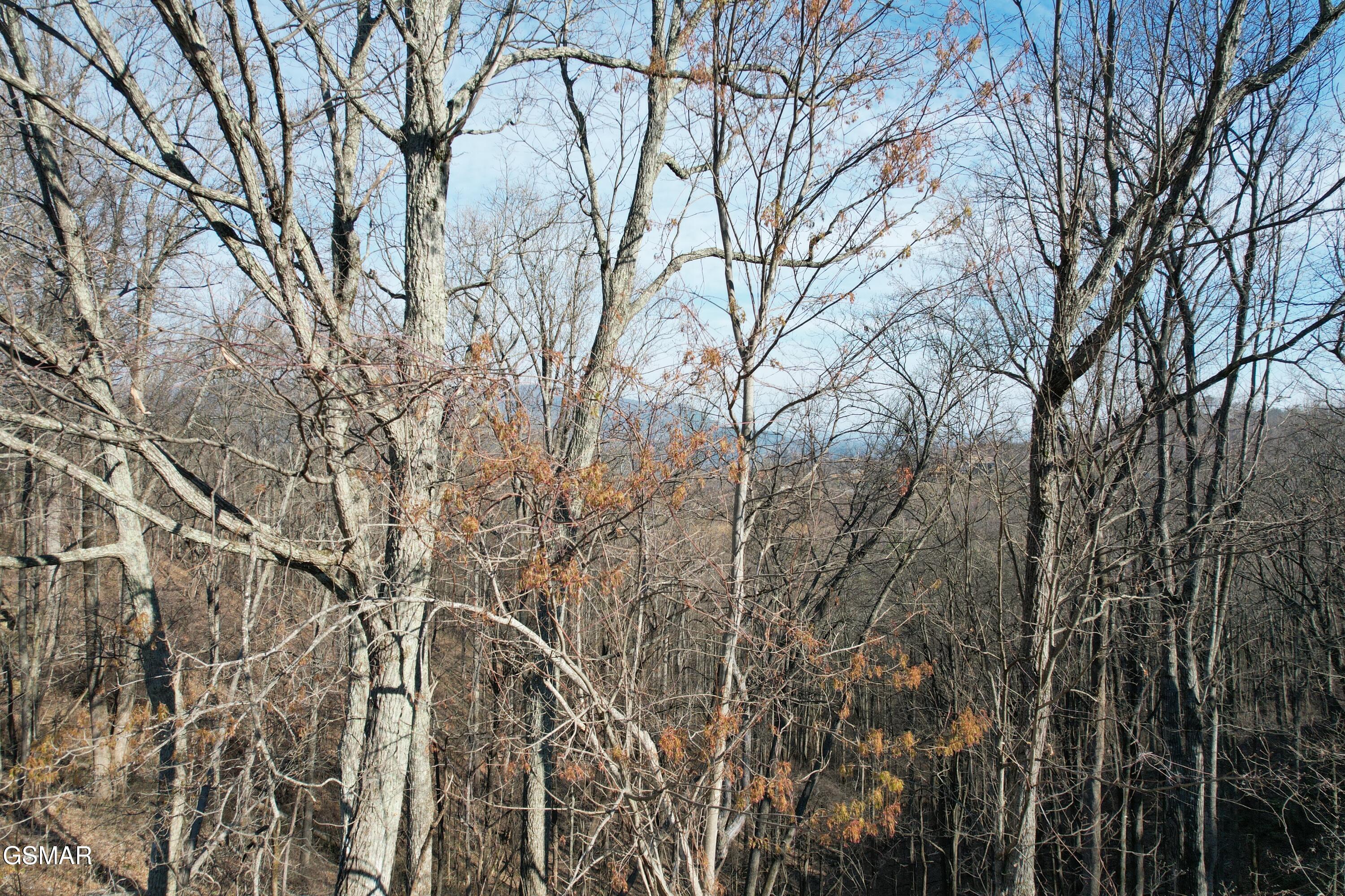 Lot 2b Spurling Way Sevierville TN 37862