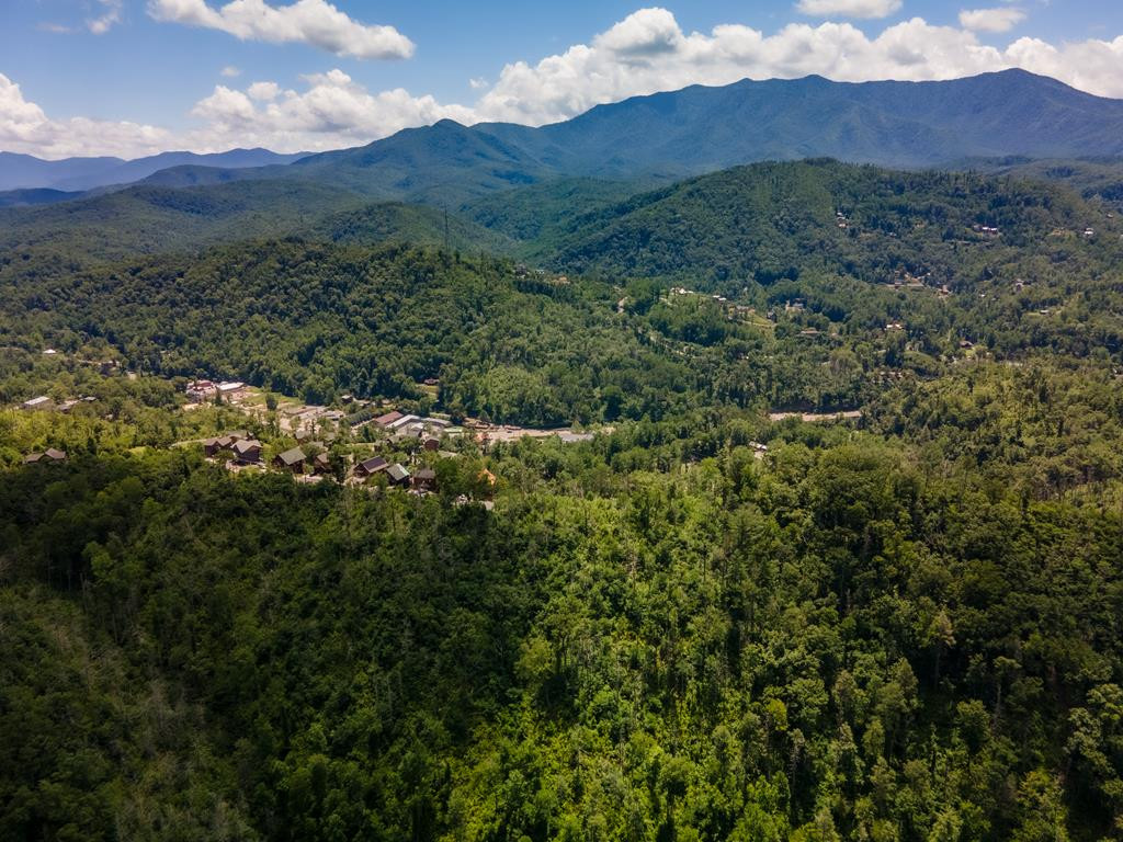 104 Oglewood Lane Gatlinburg TN 37738