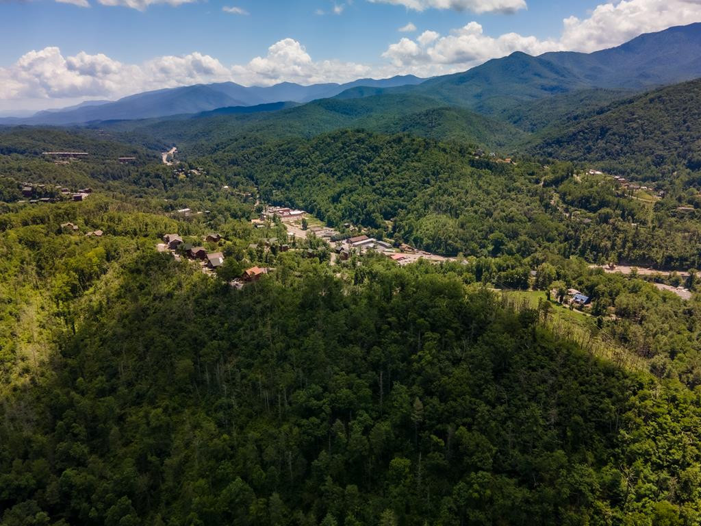 104 Oglewood Lane Gatlinburg TN 37738