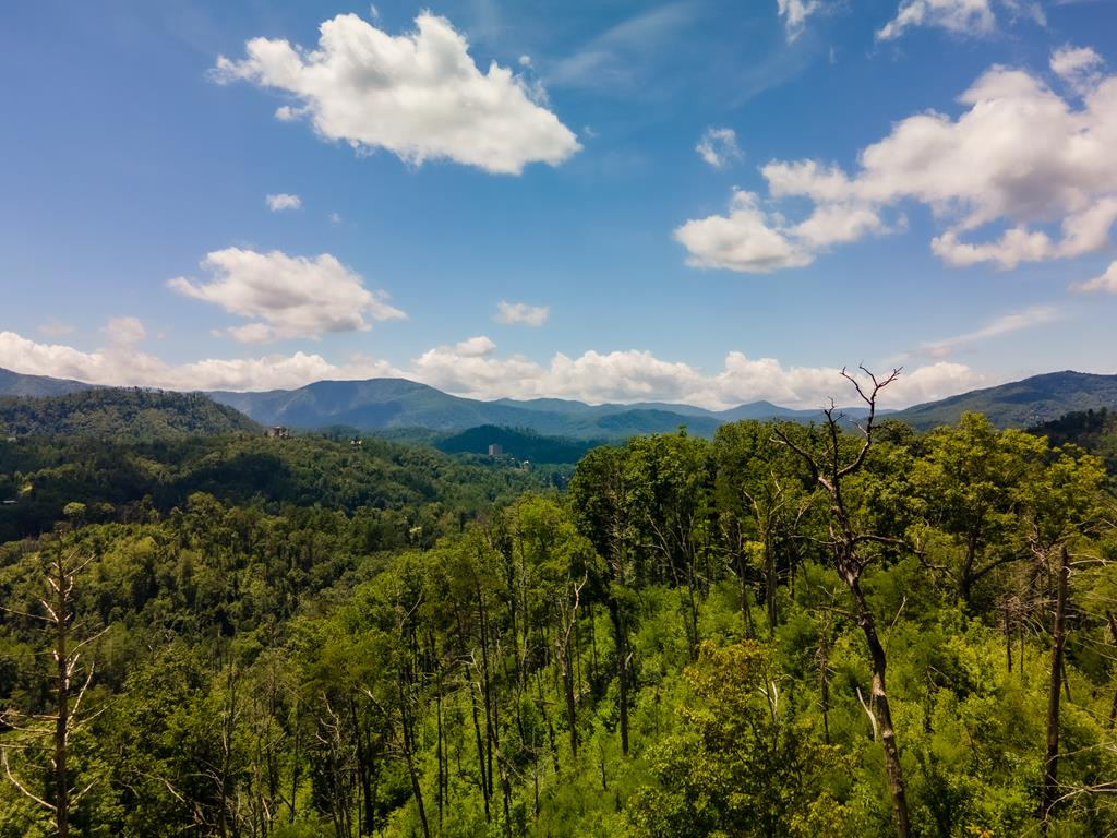 104 Oglewood Lane Gatlinburg TN 37738