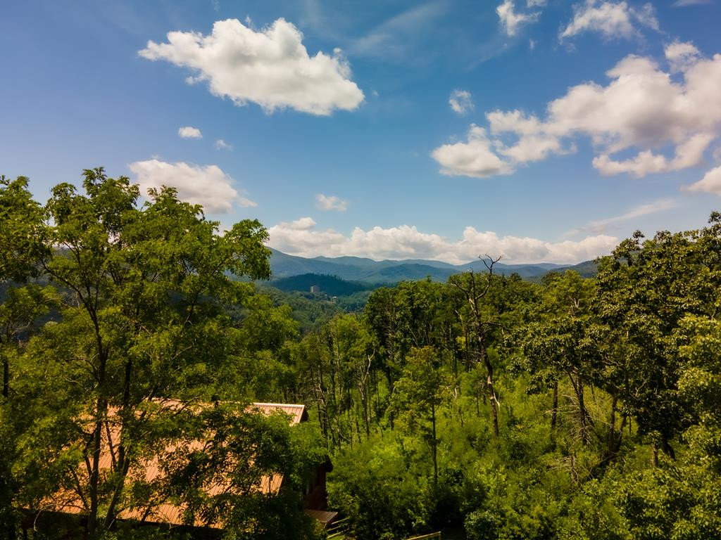 104 Oglewood Lane Gatlinburg TN 37738
