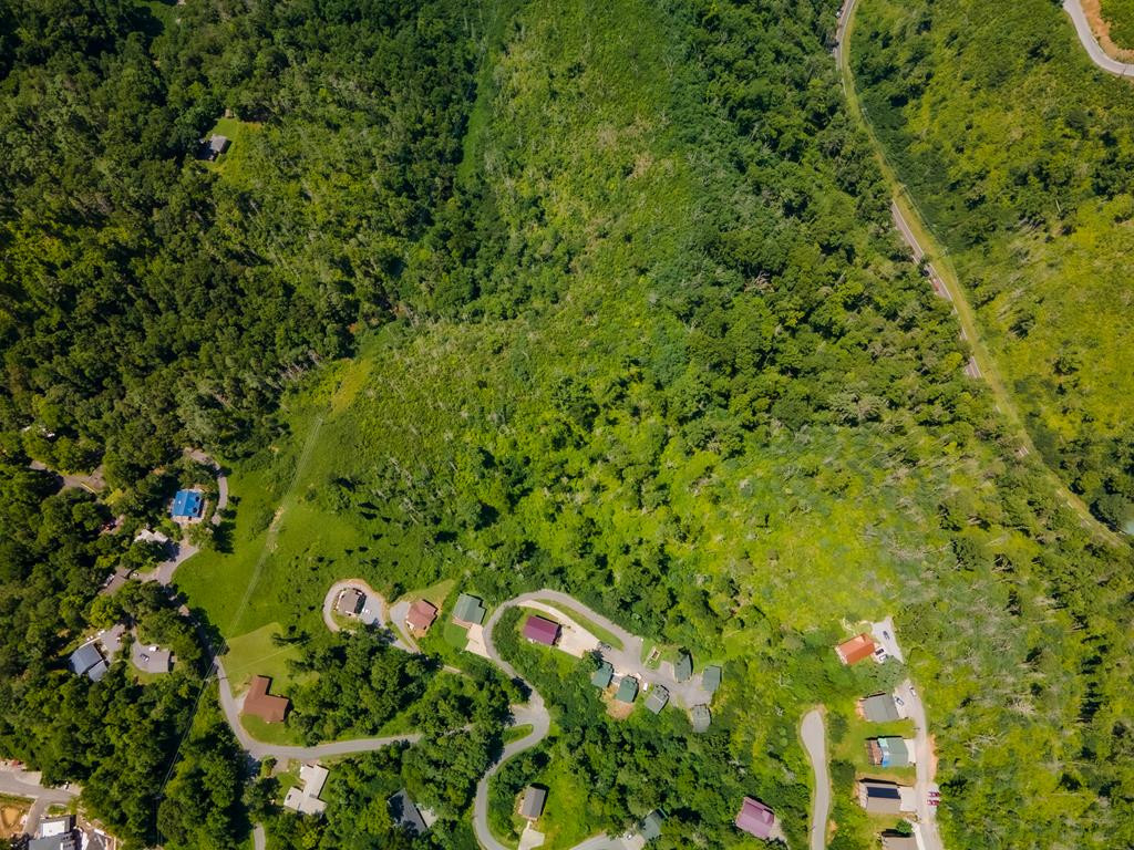 104 Oglewood Lane Gatlinburg TN 37738