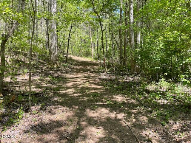 - Jason Pl / Jones Cove Road -off Sevierville TN 37876