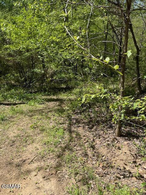 - Jason Pl / Jones Cove Road -off Sevierville TN 37876
