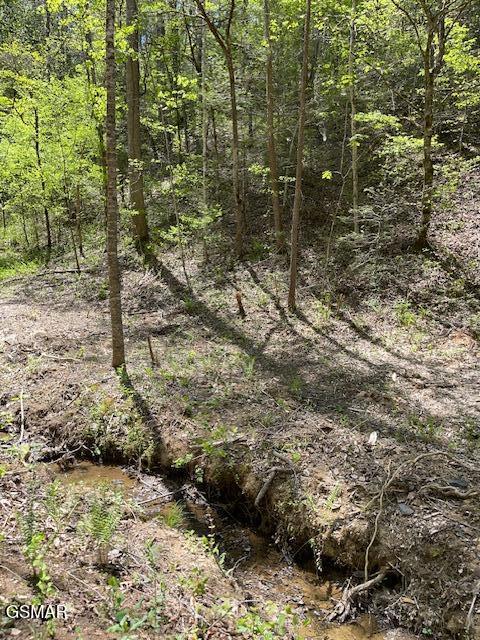 - Jason Pl / Jones Cove Road -off Sevierville TN 37876