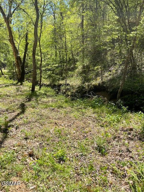 - Jason Pl / Jones Cove Road -off Sevierville TN 37876
