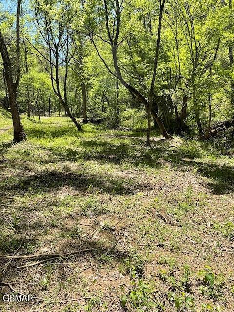 - Jason Pl / Jones Cove Road -off Sevierville TN 37876