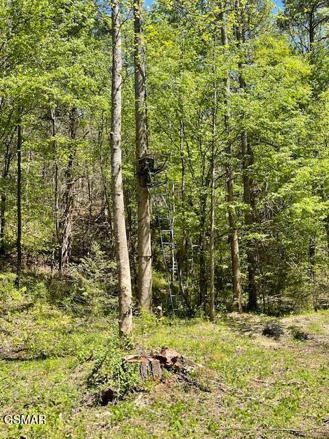 - Jason Pl / Jones Cove Road -off Sevierville TN 37876