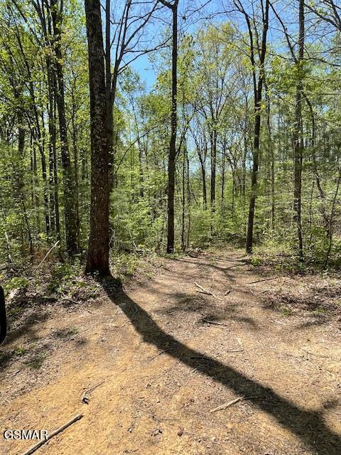 - Jason Pl / Jones Cove Road -off Sevierville TN 37876