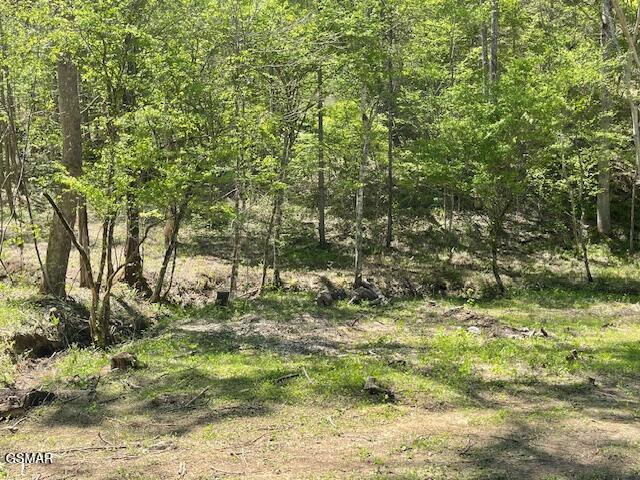 - Jason Pl / Jones Cove Road -off Sevierville TN 37876