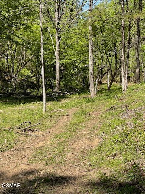 - Jason Pl / Jones Cove Road -off Sevierville TN 37876