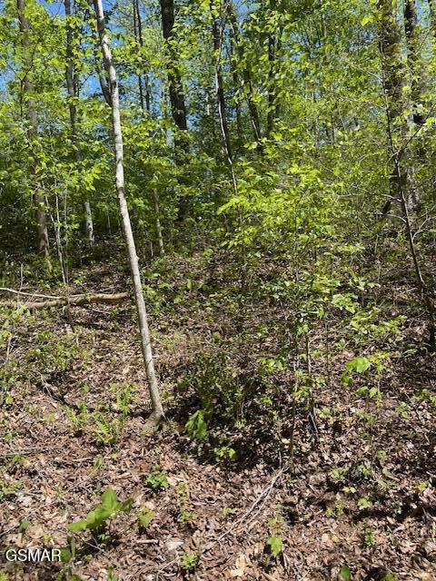- Jason Pl / Jones Cove Road -off Sevierville TN 37876