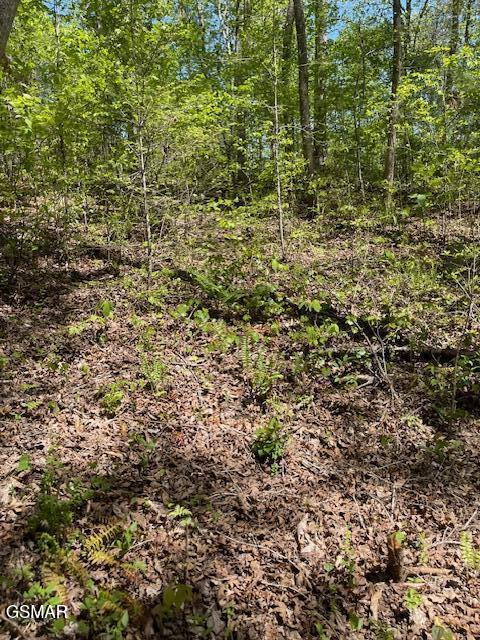 - Jason Pl / Jones Cove Road -off Sevierville TN 37876