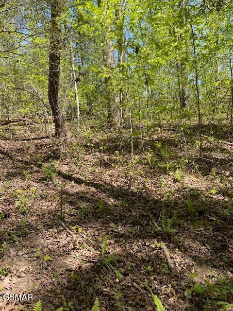 - Jason Pl / Jones Cove Road -off Sevierville TN 37876