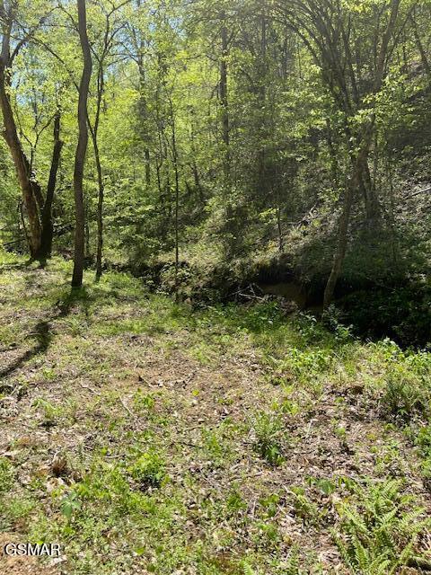 - Jason Pl / Jones Cove Road -off Sevierville TN 37876
