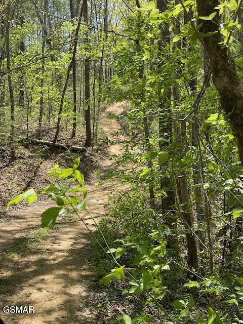 - Jason Pl / Jones Cove Road -off Sevierville TN 37876