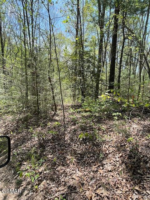 - Jason Pl / Jones Cove Road -off Sevierville TN 37876
