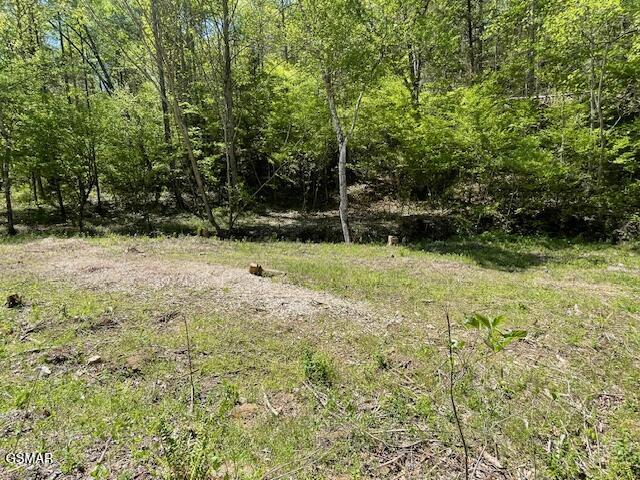 - Jason Pl / Jones Cove Road -off Sevierville TN 37876