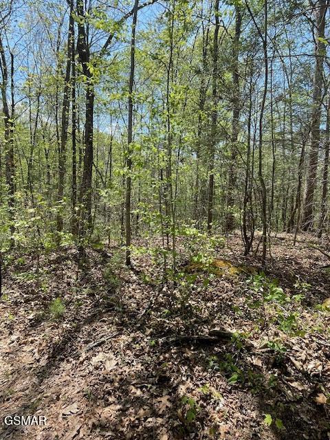 - Jason Pl / Jones Cove Road -off Sevierville TN 37876