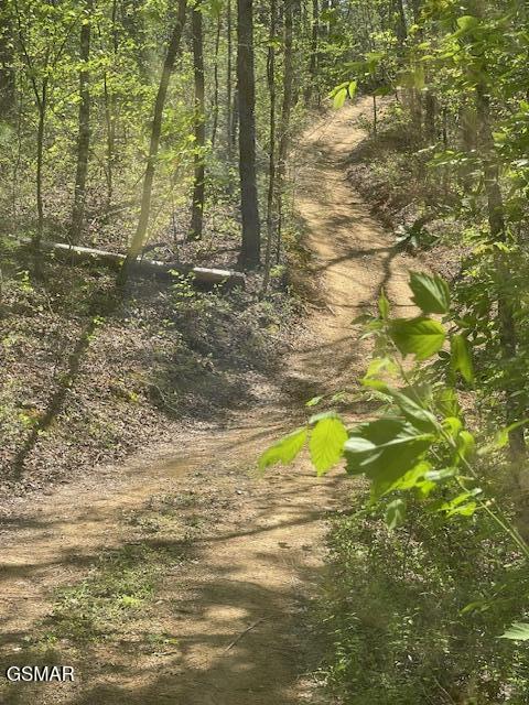 - Jason Pl / Jones Cove Road -off Sevierville TN 37876
