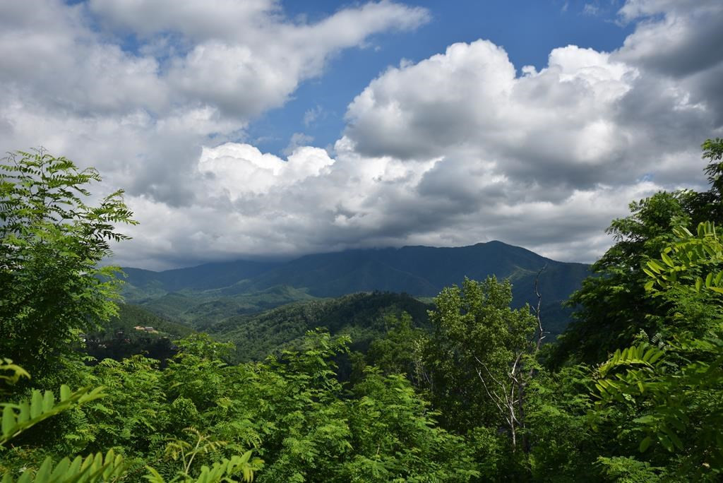 560 Campbell Lead Road Gatlinburg TN 33738