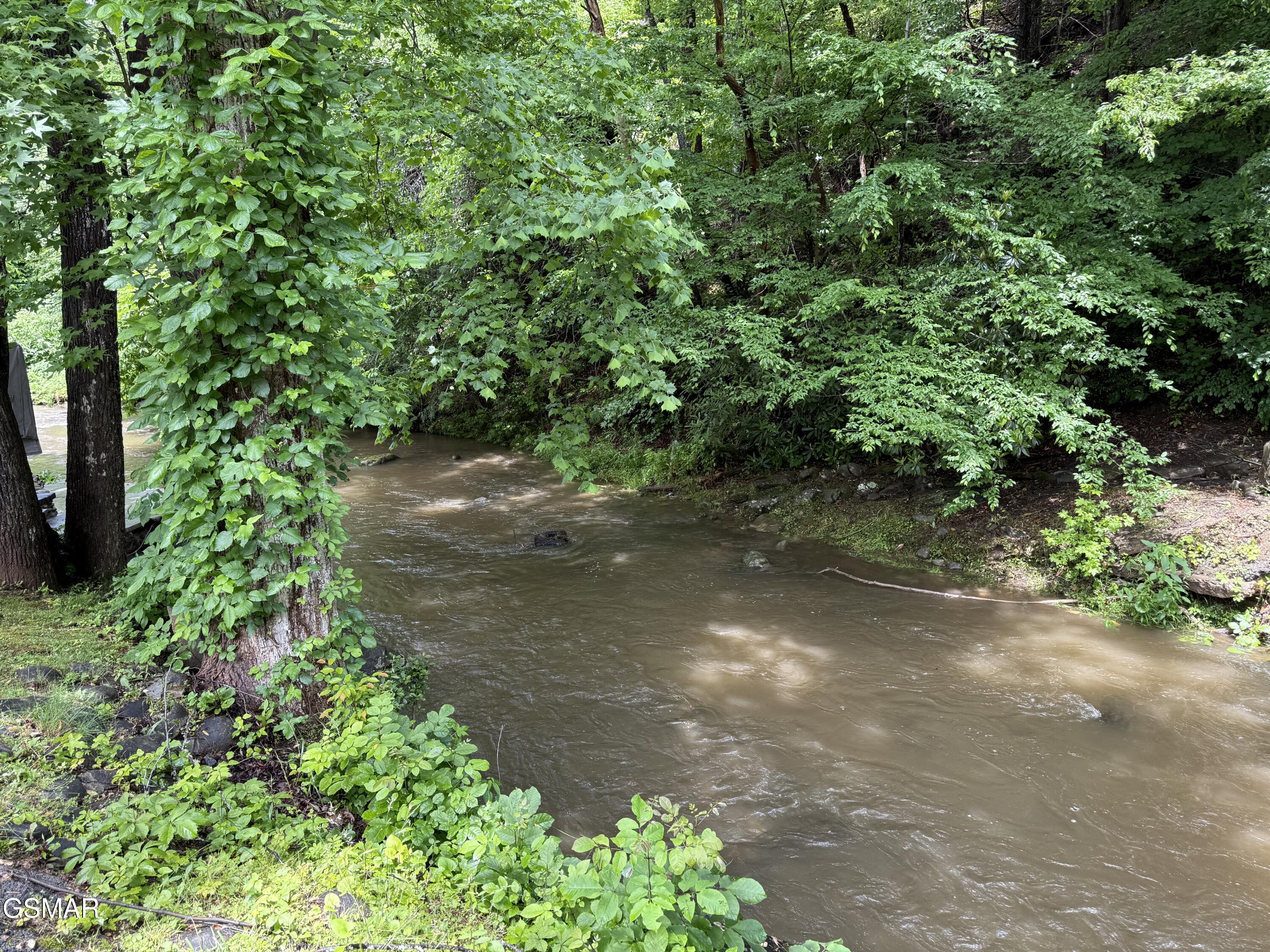 4229 E Parkway #309 Gatlinburg TN 37738