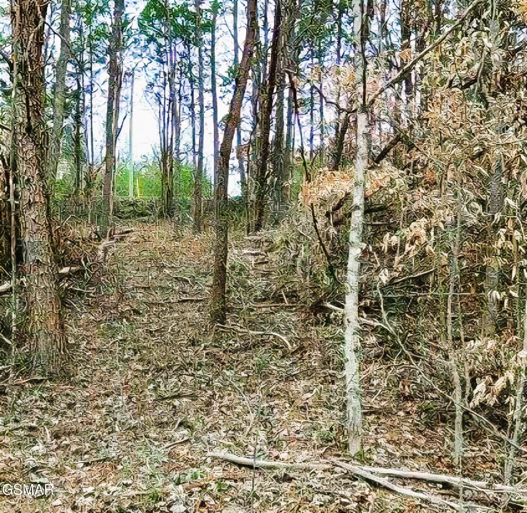 Lot 17 Scott Street Sevierville TN 37876