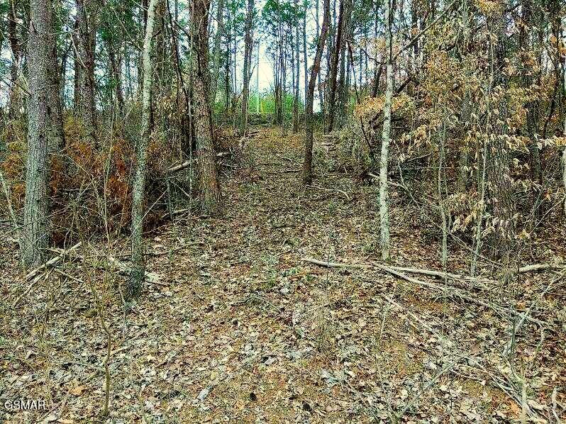 Lot 17 Scott Street Sevierville TN 37876