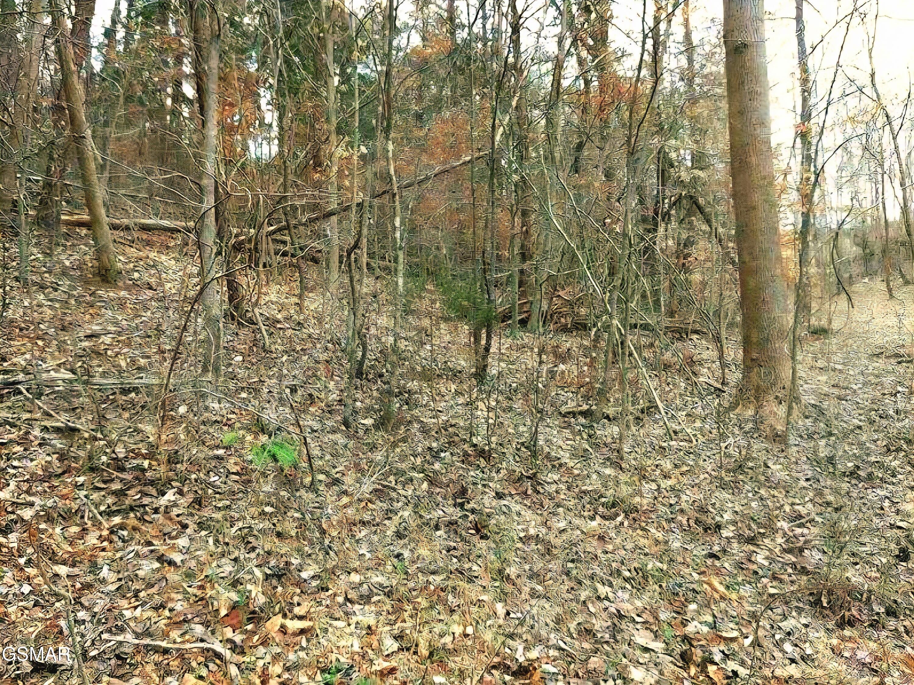 Lot 17 Scott Street Sevierville TN 37876