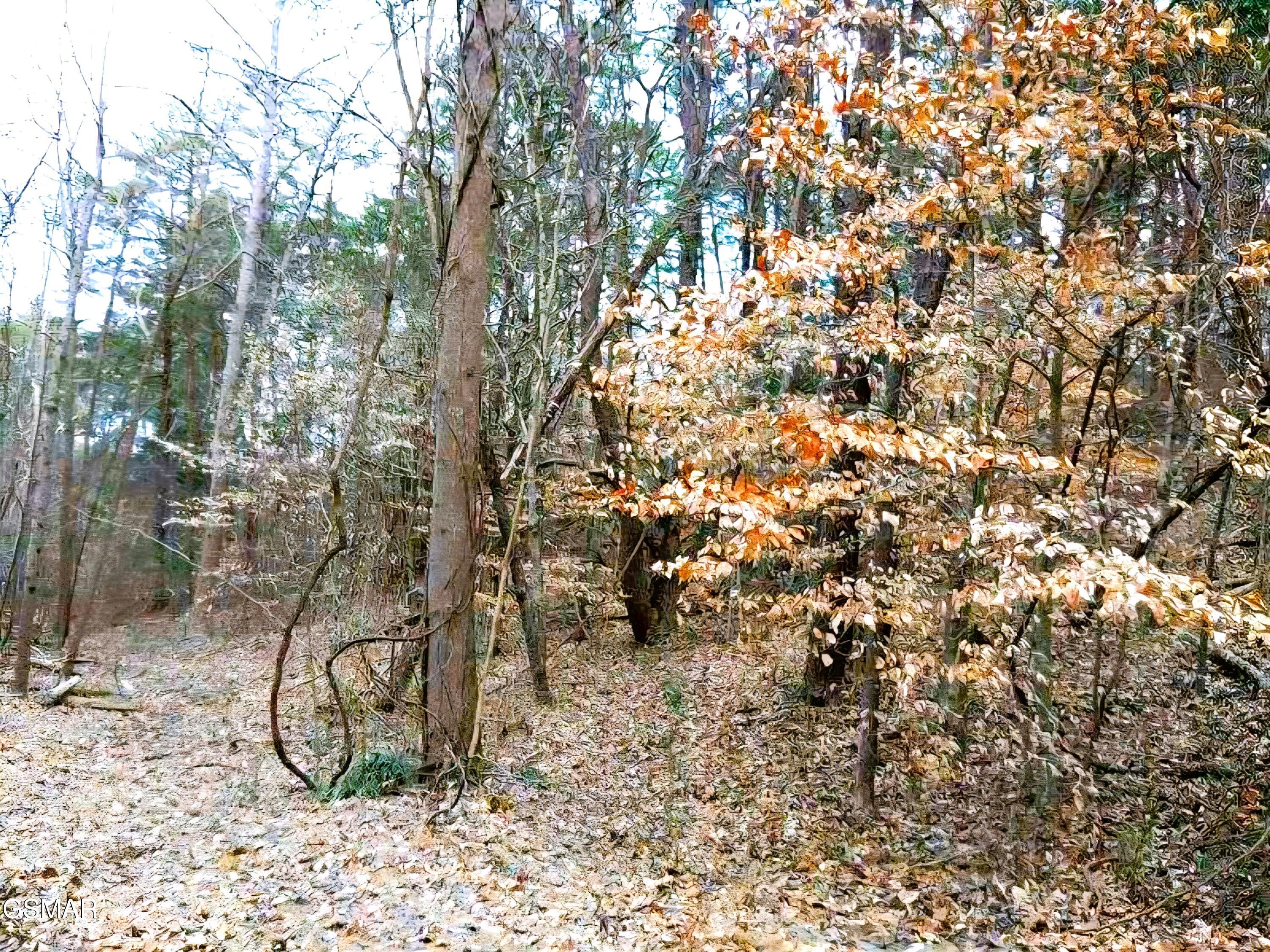 Lot 17 Scott Street Sevierville TN 37876