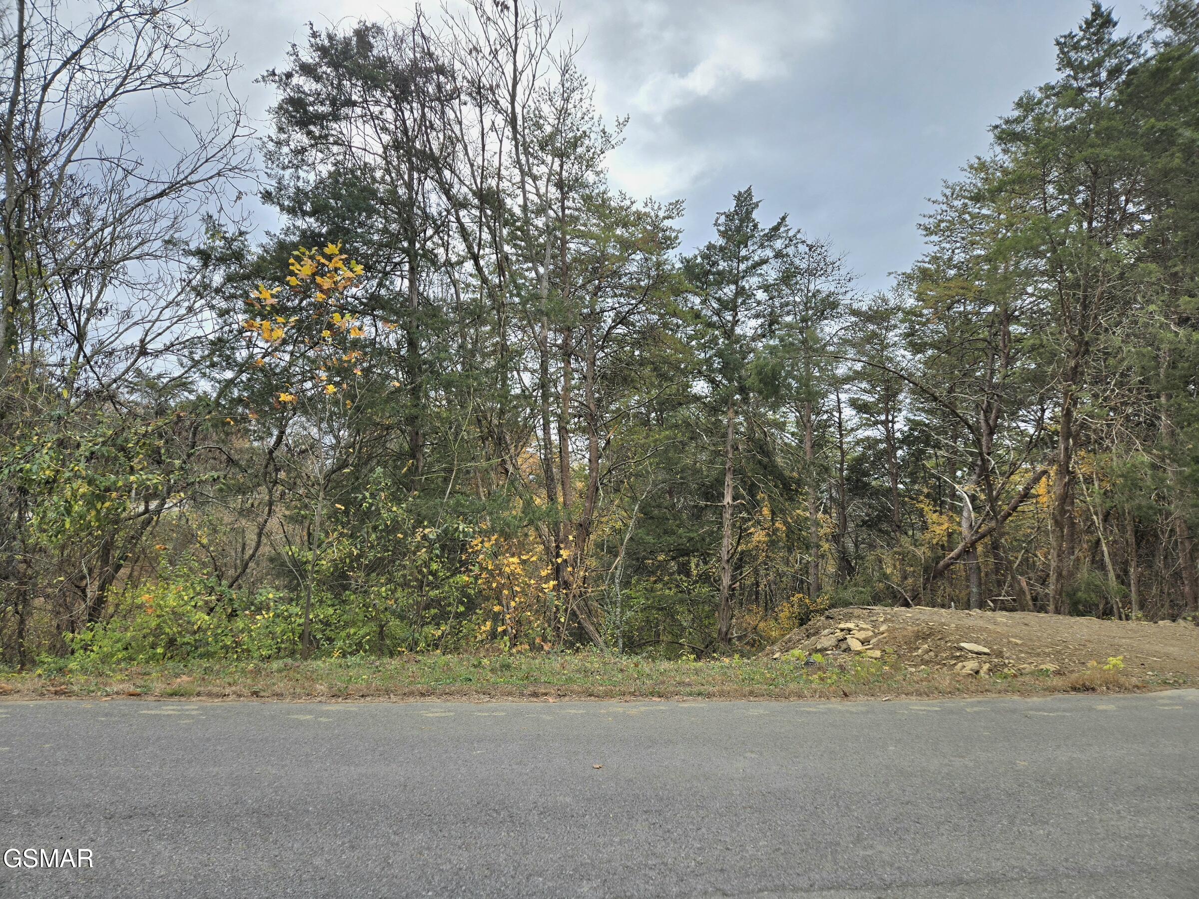 Lot 17 Scott Street Sevierville TN 37876