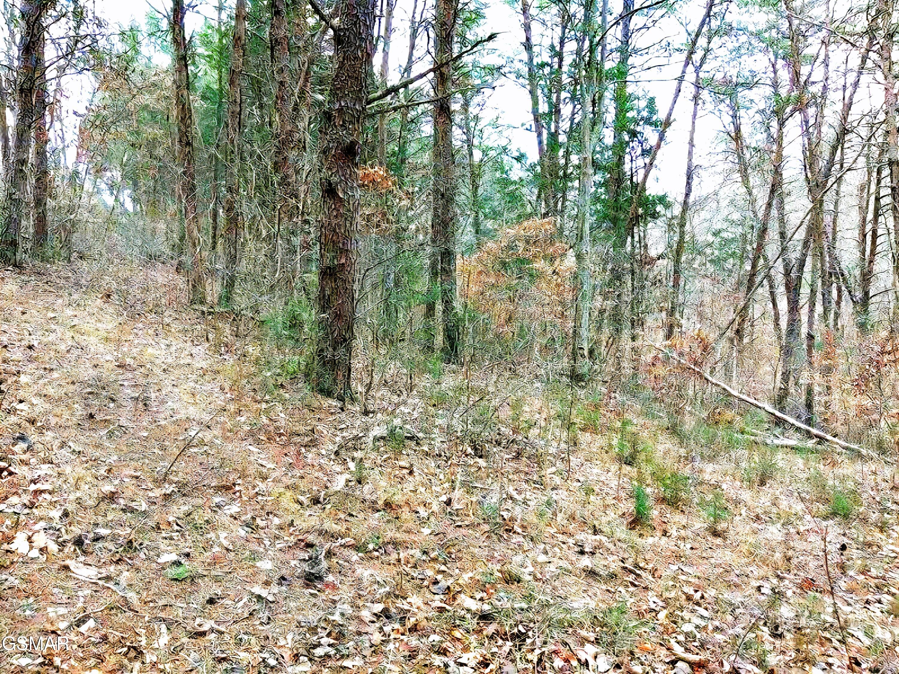 Lot 17 Scott Street Sevierville TN 37876