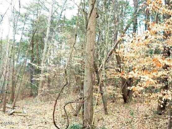 Lot 17 Scott Street Sevierville TN 37876