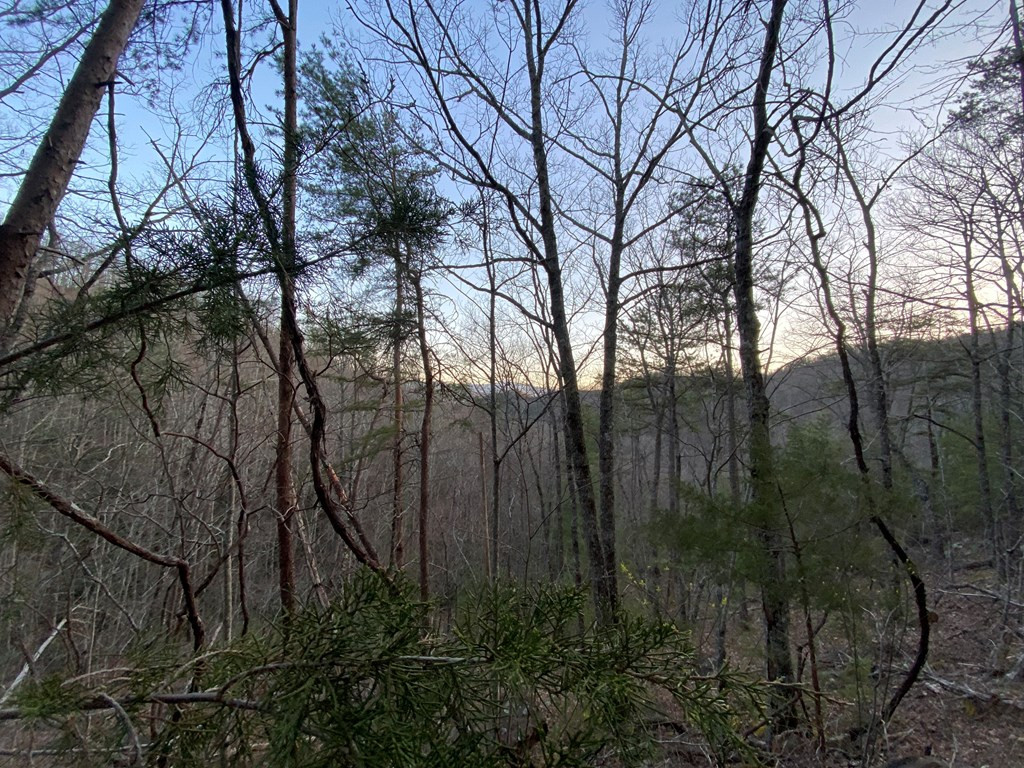 Lot 46 Beechwood Street Sevierville TN 37876
