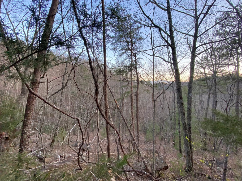 Lot 46 Beechwood Street Sevierville TN 37876