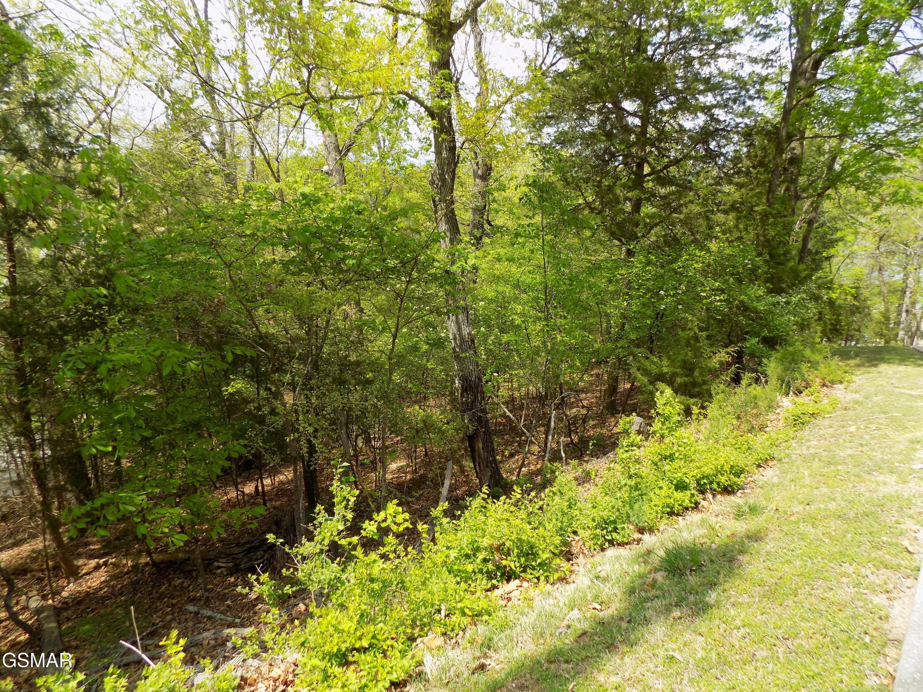 3753 Lake Point Drive Morristown TN 37814