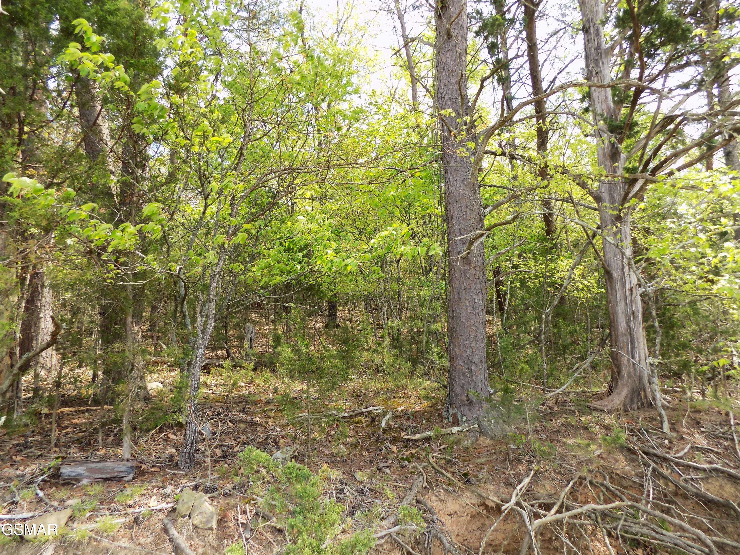3753 Lake Point Drive Morristown TN 37814