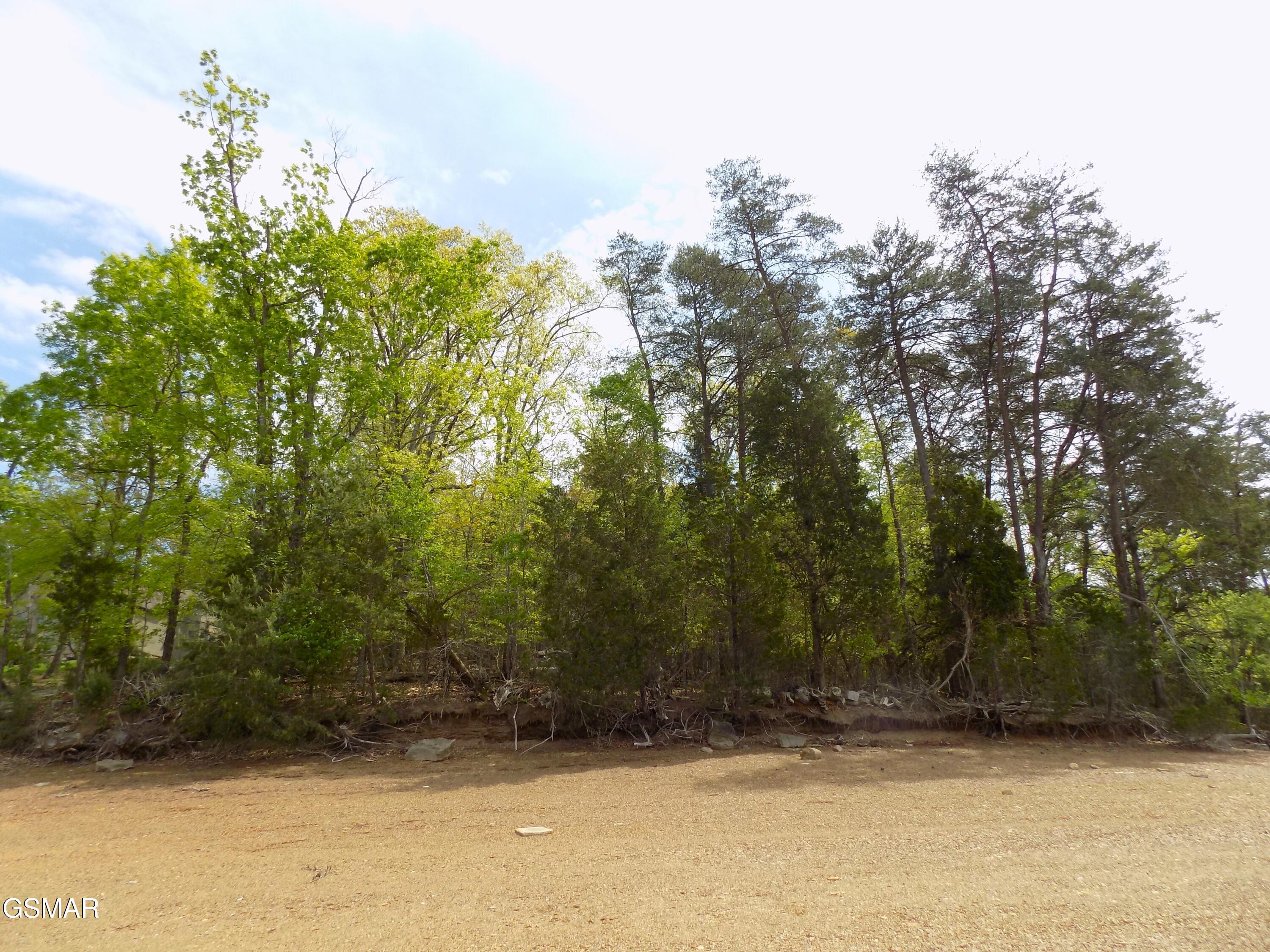 3753 Lake Point Drive Morristown TN 37814