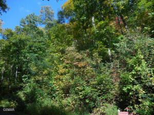 0000 Off Hidden Valley Gatlinburg TN 37738