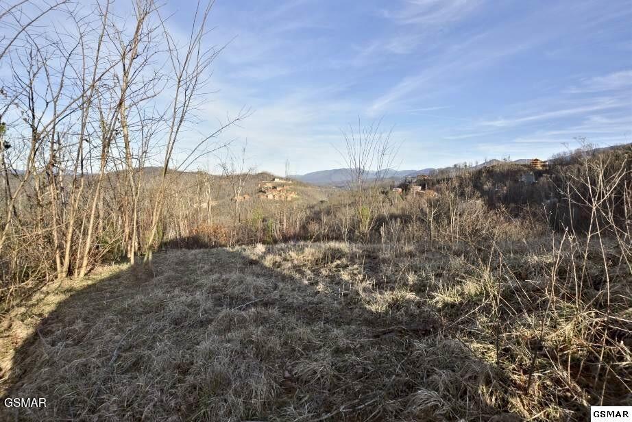 429 Red Hawk Way Gatlinburg TN 37738