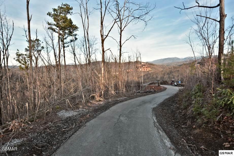 429 Red Hawk Way Gatlinburg TN 37738