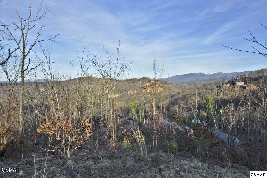 429 Red Hawk Way Gatlinburg TN 37738